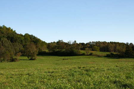 Beautiful grass field backed by a forest. Taken at Indian Lake in Wisconsin.の写真素材