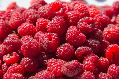 Fresh juicy sweet raspberries is lying in the sun
