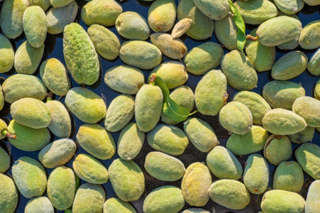 The green almonds in the peel are dried in the sun