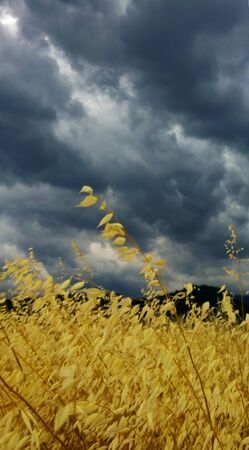 Summer storm brewingの写真素材