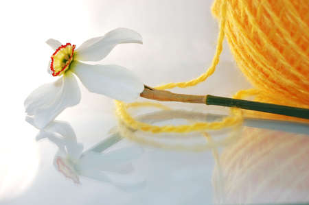 Yellow ball and white flower with reflectionsの写真素材