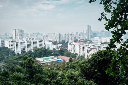 The stretch of Singapore buildings observed through the vegetation on a cloudy day