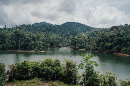 A calm panorama of a lush forest and a lake in Malaysiaの写真素材