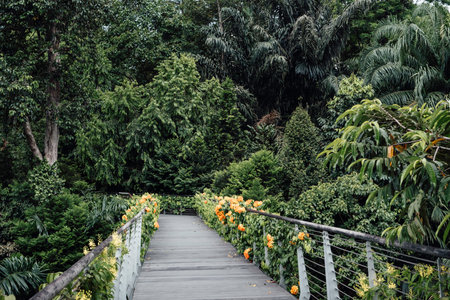 Charming footbridge in a botanical garden with colorful flowers in Singaporeの写真素材