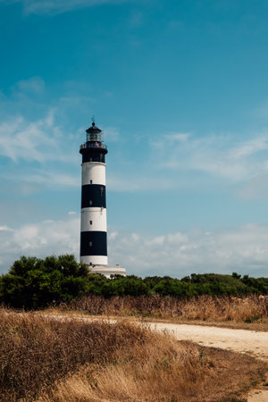 A path leading to the lighthouse of Chassiron in the Oleron islandの写真素材