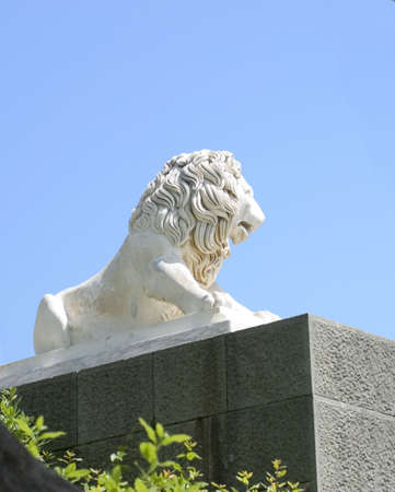 Sculpture of a lion on a granite pedestal on a background of the clear skyの写真素材