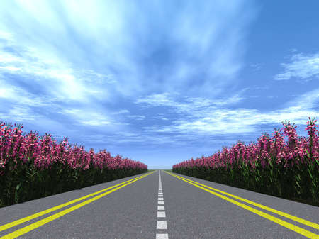 Highway with a marking with blossoming flowers  on a roadside. Brightly blue, not much cloudy skyの写真素材