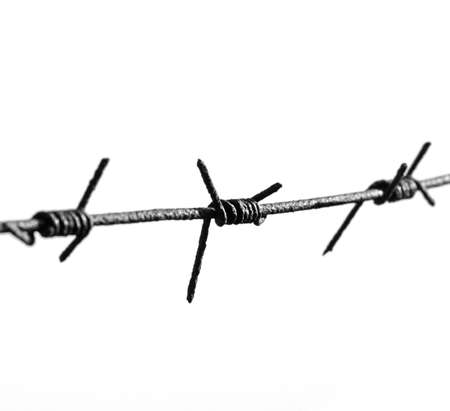 The barbed wire is isolated on a background of the white の写真素材