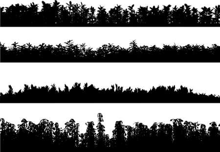 Grass. A set of silhouettes of a grass of various gradesのイラスト素材