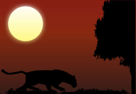 The leopard on night huntingのイラスト素材