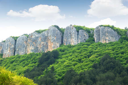 Mountains and forest. Crimean mountains covered dense forestの写真素材