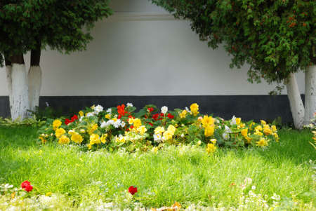 Flower bed. Blossoming flowers with trunks of trees on a backgroundの写真素材