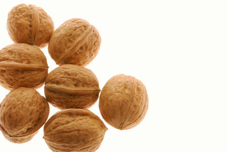 Walnut. It is isolated on the white background, the ripened fruit of a nut tree