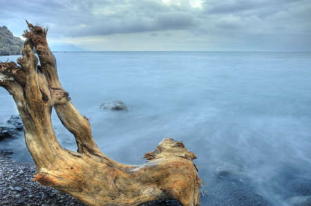 The night sea and timber. The sea photographed at a dawn with long endurance. Crimea, Ukraineの写真素材