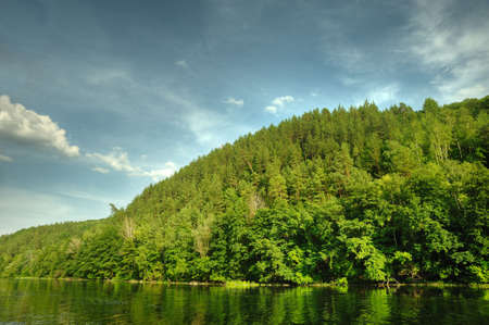 Picturesque forest and the river. Small river at bottom of mountain with mixed by a wood in the East Europe. Ukraine.の写真素材