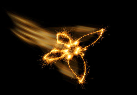 The butterfly from bengal fires. Abstract the image of an animal sparks of fireの写真素材