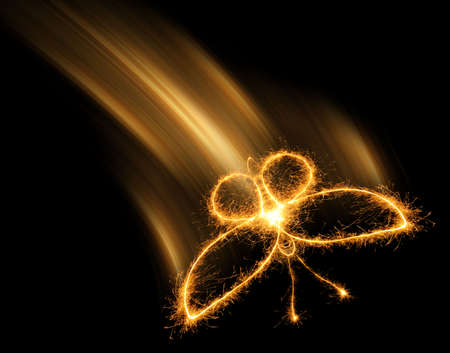 The butterfly from bengal fires. Abstract the image of an animal sparks of fireの写真素材