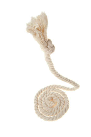 Cord with knot. A fragment of a cord it is isolated on a backgroundの写真素材