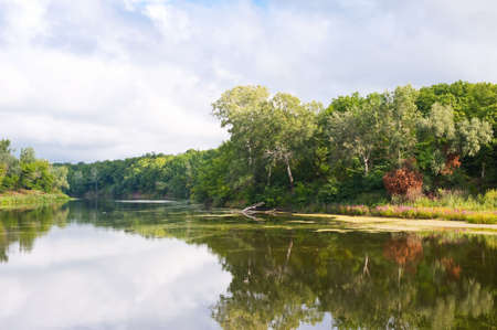 Picturesque forest and the river. Ukraine. Seversky Donethの写真素材