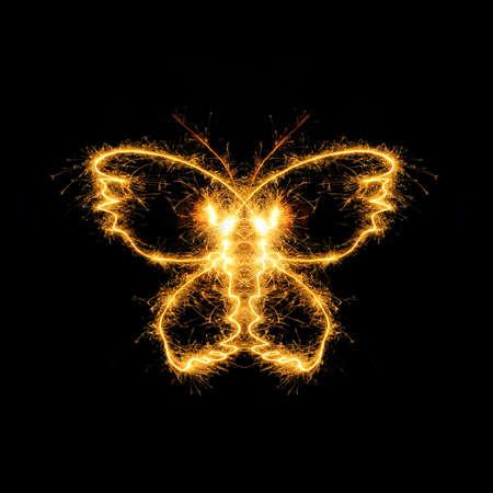 The butterfly from bengal fires. Abstract the image of an animal sparks of fireの写真素材
