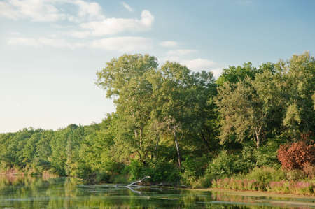 Picturesque forest and the river. Ukraine. Seversky Donethの写真素材