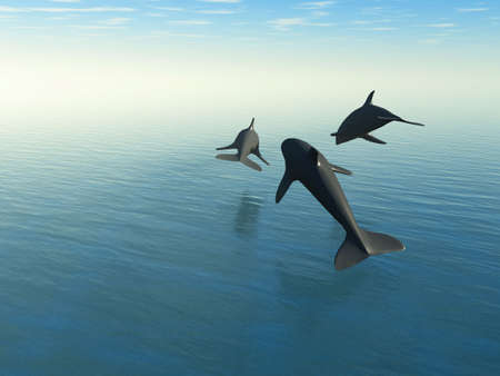 Three dolphins above the sea. 3d rendering.The rear viewの写真素材