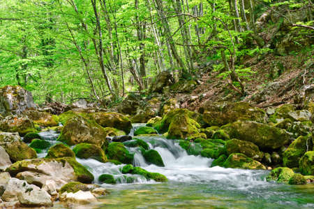 Mountain river. A stream of water in forest and mountain terrain. Crimea, the Grand Canyon.の写真素材