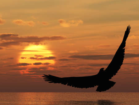 Eagle above ocean. Picturesque sunset. 3D renderingの写真素材
