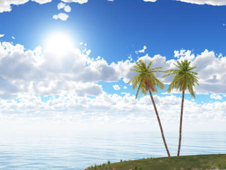 Island. Two palm trees on a background of the sea and the dark blue skyの写真素材