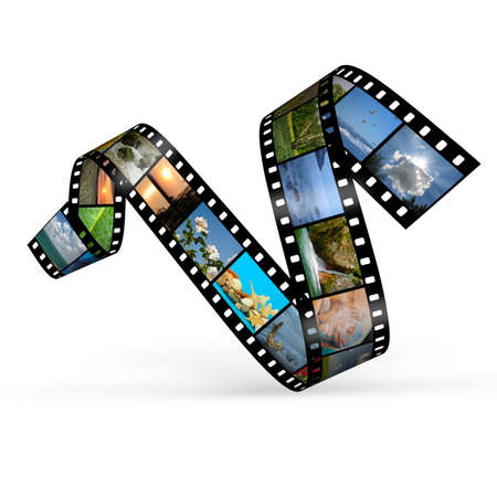 Film with photos. A set of photos of wildlifeの写真素材