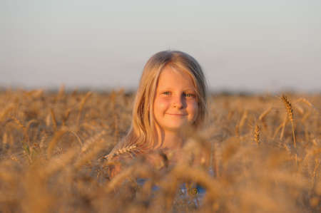 The girl in filed wheats. Warm light sunsetの写真素材