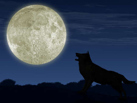 The wolf and the moon. The detailed illustration of an animal and beautiful landscape.