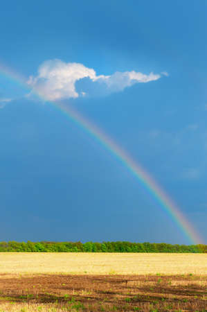 Rainbow. Colorful arc seen in the sky after a rainstormの写真素材