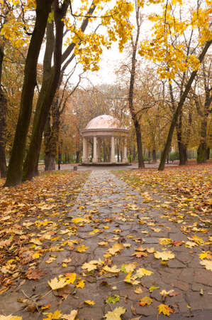 Autumn park with a footpath to summer house. The Lvov parkの写真素材
