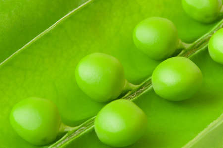 Pea background. A photo close up of green peas, beanの写真素材