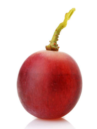 Berry of red grapes. It is isolated on a white backgroundの写真素材