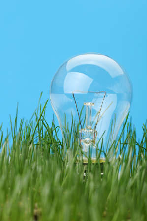 Electric lamp in a grass. A blue backgroundの写真素材