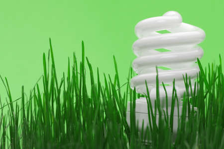 Energy saving compact fluorescent lightbulb in a green grassの写真素材