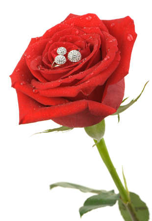 Red rose with a ring with jewels and water drops. Isolated on white backgroundの写真素材
