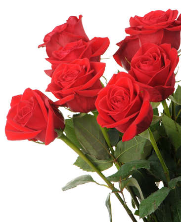 Bouquet of red roses. It is isolated on a white backgroundの写真素材