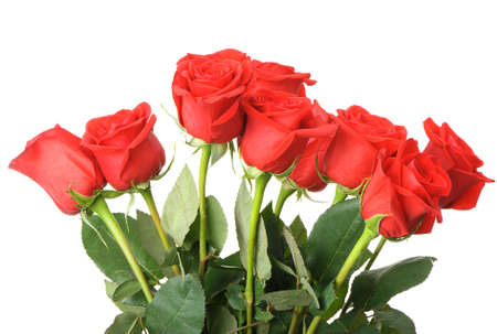 Bouquet of red roses. It is isolated on a white backgroundの写真素材