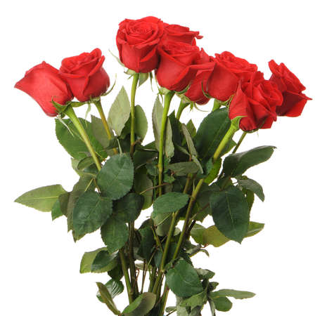 Bouquet of red roses. It is isolated on a white backgroundの写真素材