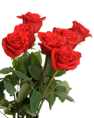 Bouquet of red roses. It is isolated on a white backgroundの写真素材