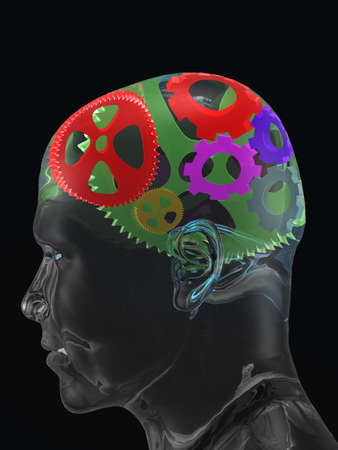 Transparent man's skull with colour curve gears. 3d imageの写真素材