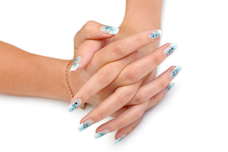 Female hands with manicure close up. Drawing of a branch with blue flowers. It is isolated on a white background.の写真素材