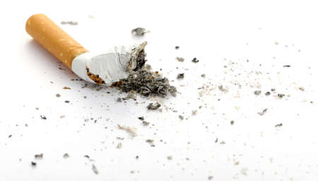 cigarette butt. Photo closeup. On whiteの写真素材