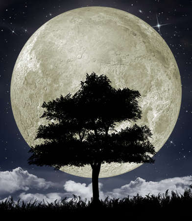 Silhouette of a tree against the big moon and the star night sky.の写真素材