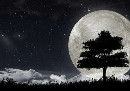 Silhouette of a tree against the big moon and the star night sky.の写真素材