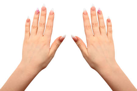 Female hands with manicure close up.It is isolated on a white background.の写真素材