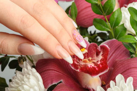 Female hands with manicure closeup. Against an orchidの写真素材